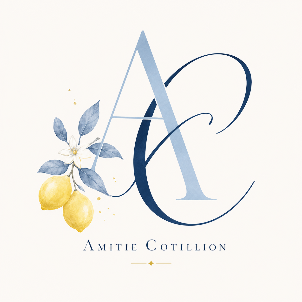 amitiecotillionlc.com